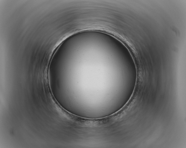 X0000112931521200909071023