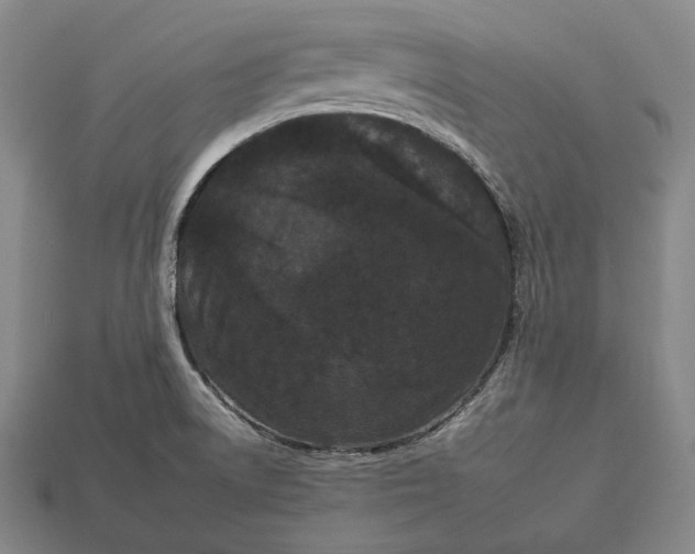 X0000112931522200909071023