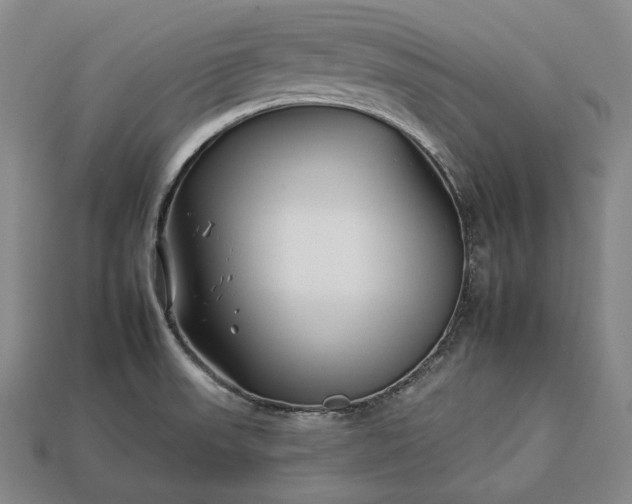 X0000112931523200909071023