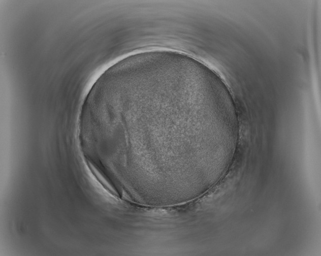 X0000112931524200909071023