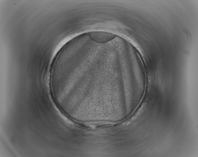 X0000112931525200909071023