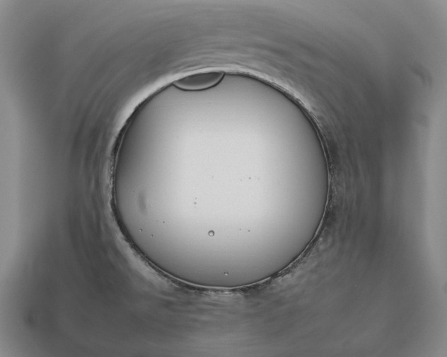 X0000112931526200909071023