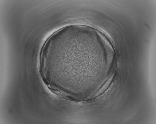 X0000112931528200909071023