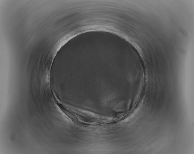 X0000112931529200909071023