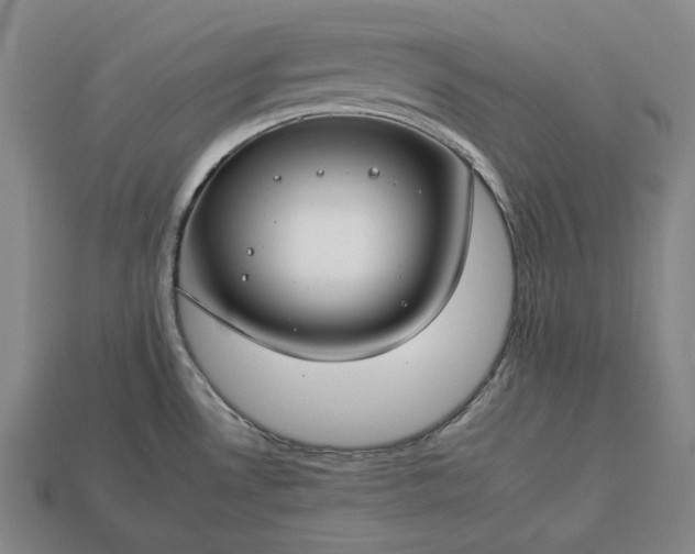 X0000112931530200909071023