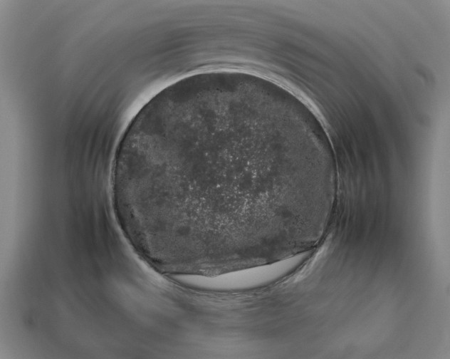 X0000112931533200909071023