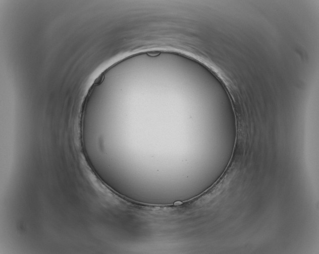 X0000112931534200909071023