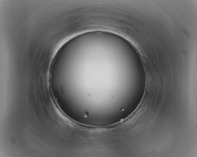 X0000112931535200909071023