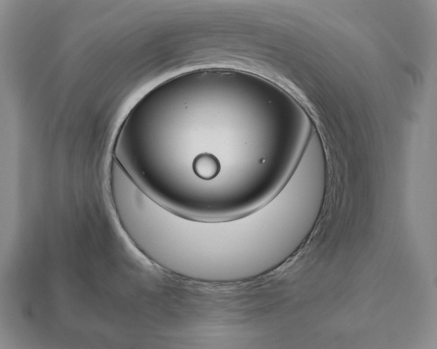 X0000112931536200909071023