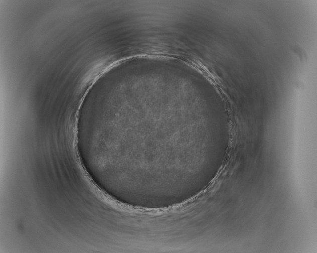 X0000112930002200909141343