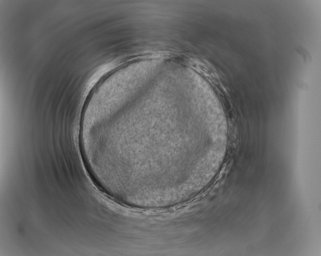 X0000112930003200909141343
