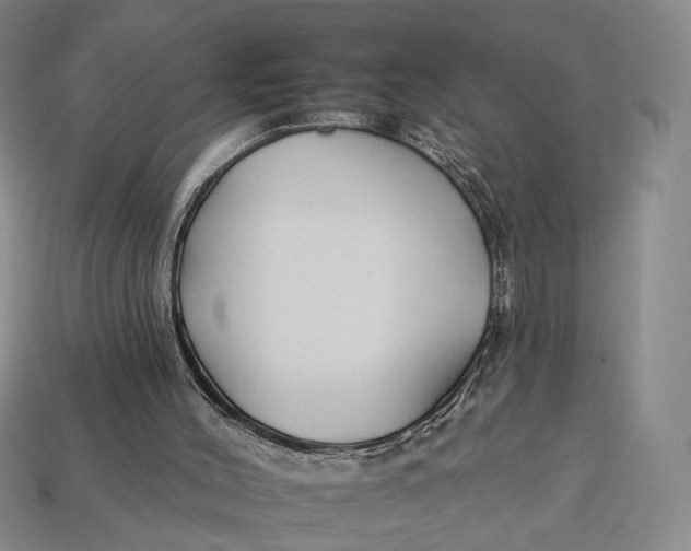 X0000112930004200909141343