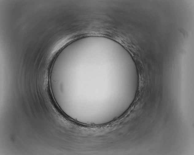 X0000112930005200909141343