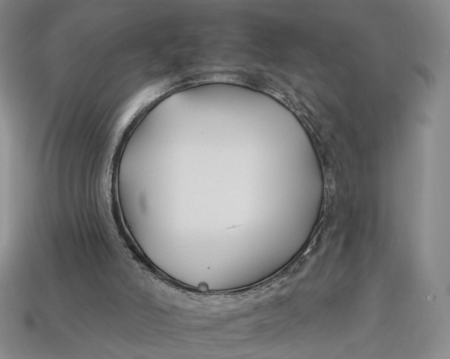 X0000112930006200909141343