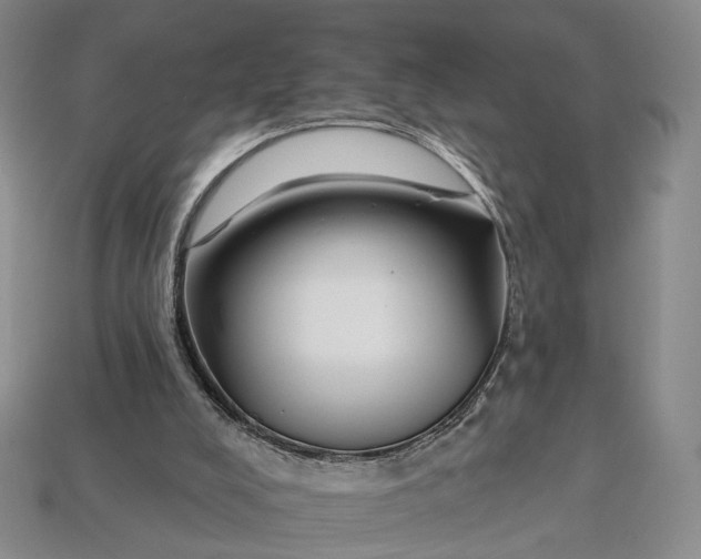 X0000112930008200909141343