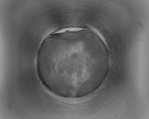 X0000112930010200909141343