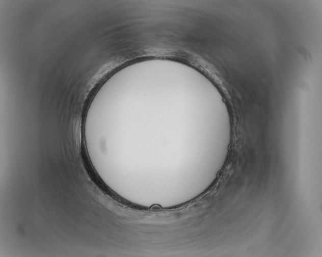 X0000112930011200909141343