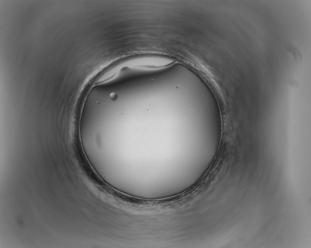 X0000112930012200909141343