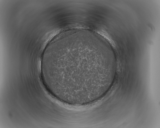 X0000112930014200909141343