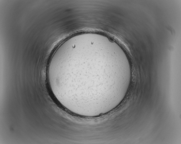 X0000112930015200909141343