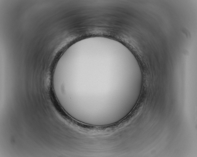 X0000112930016200909141343