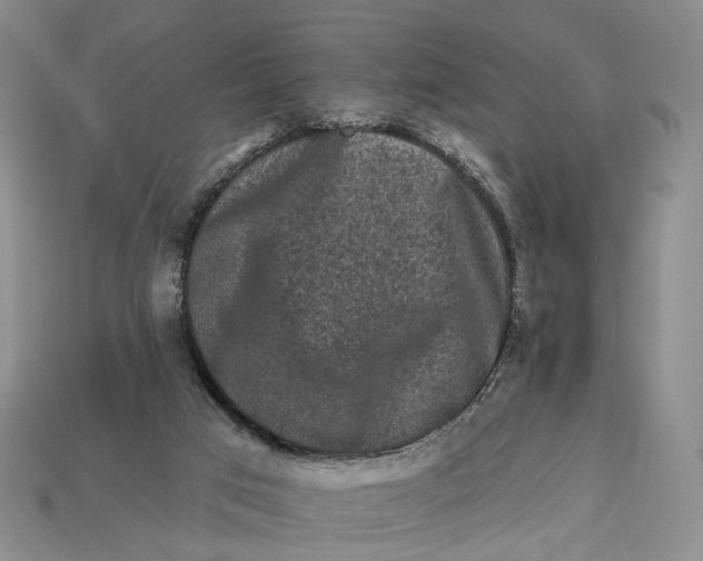 X0000112930017200909141343