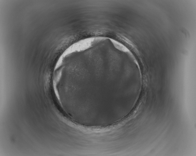 X0000112930018200909141343