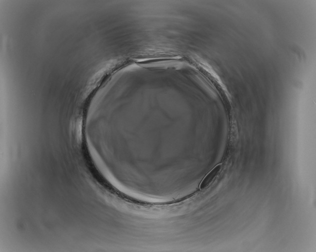 X0000112930019200909141343