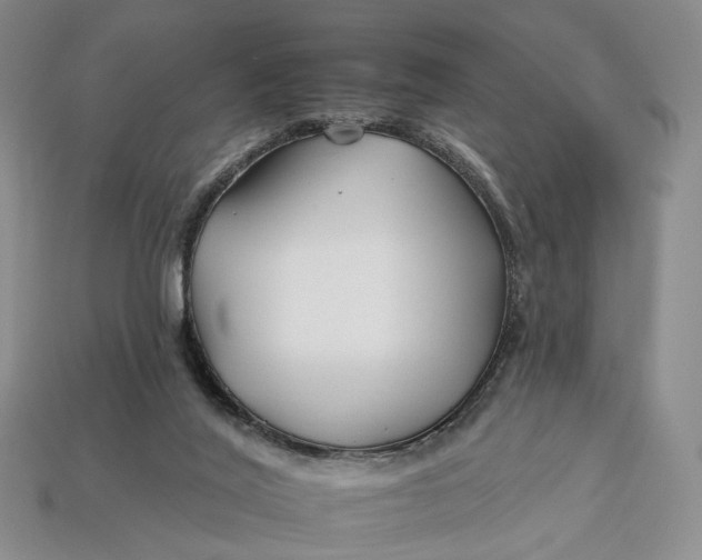 X0000112930020200909141343