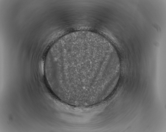 X0000112930022200909141343