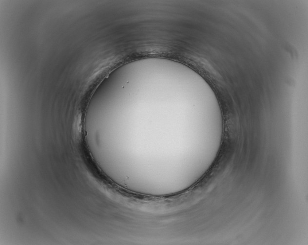 X0000112930024200909141343