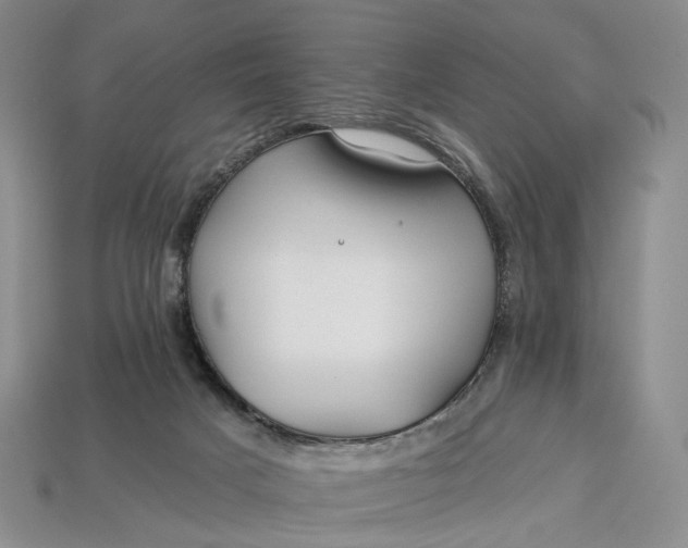 X0000112930025200909141343