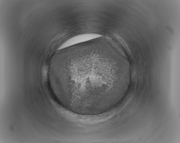 X0000112930026200909141343