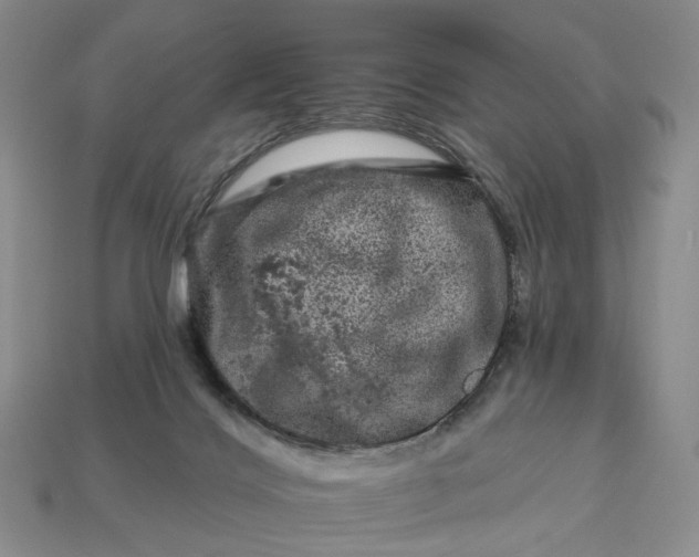 X0000112930028200909141342