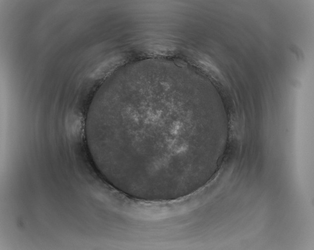 X0000112930029200909141342
