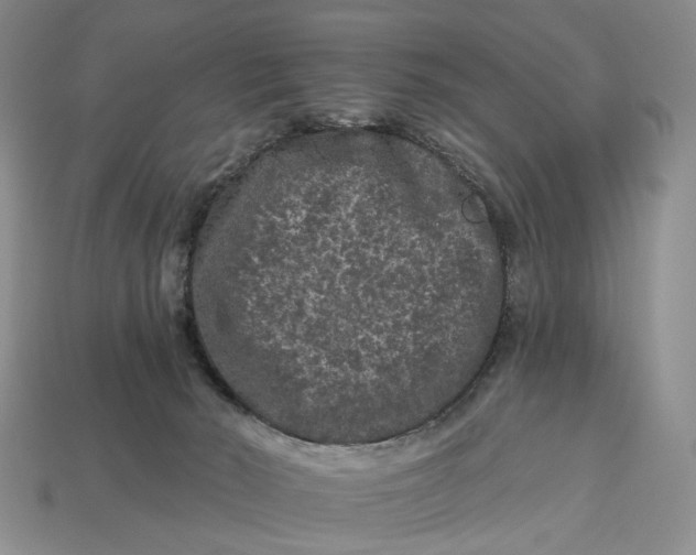 X0000112930030200909141342