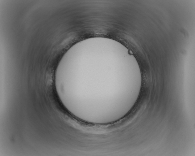 X0000112930032200909141342