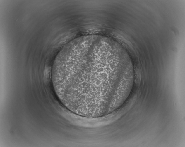 X0000112930034200909141342