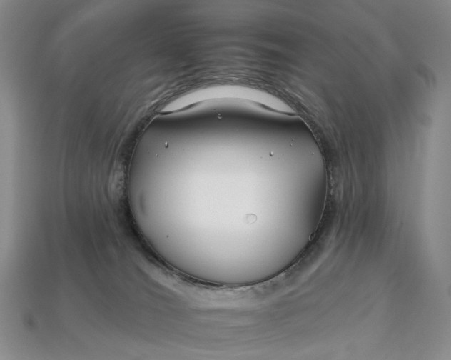 X0000112930036200909141342