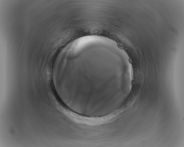 X0000112930039200909141342