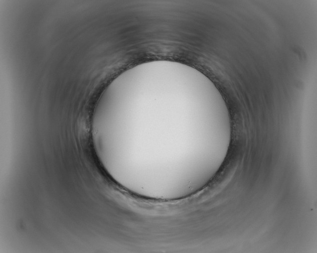 X0000112930040200909141342