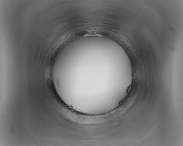 X0000112930044200909141342