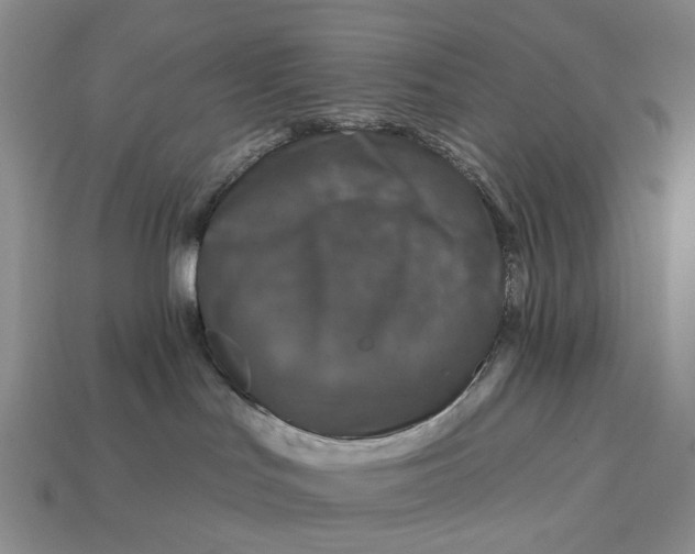 X0000112930047200909141342