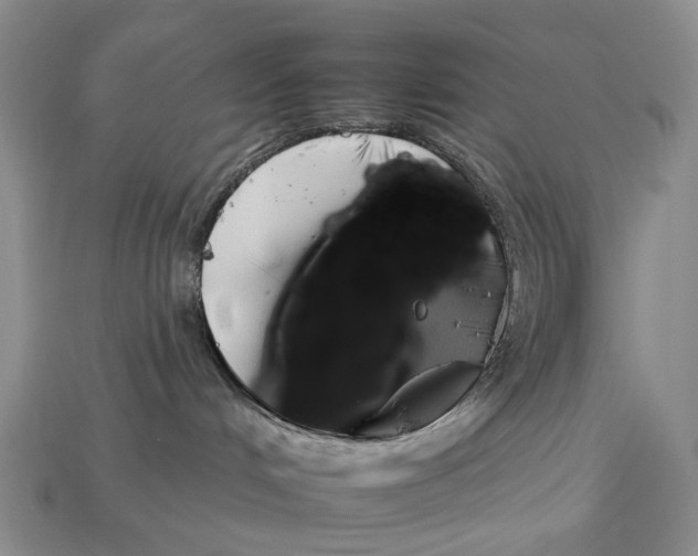 X0000112930048200909141342
