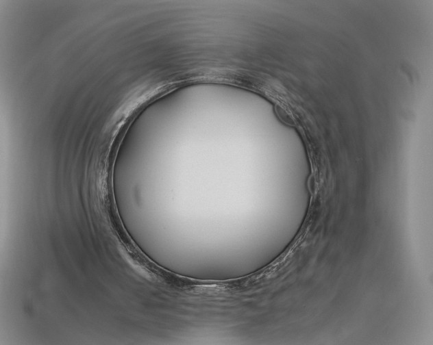 X0000112930050200909141341