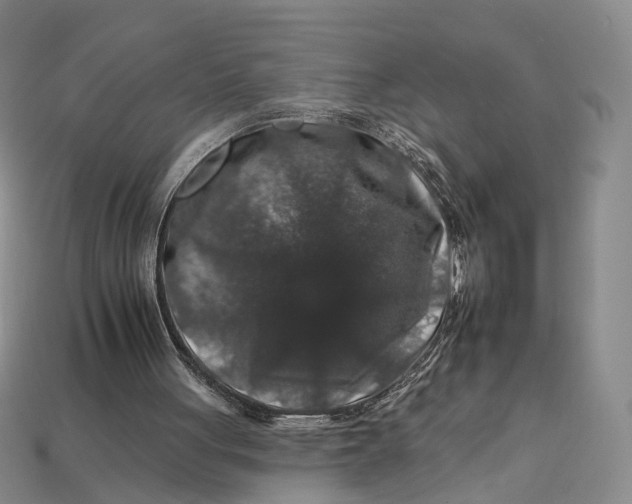 X0000112930051200909141341
