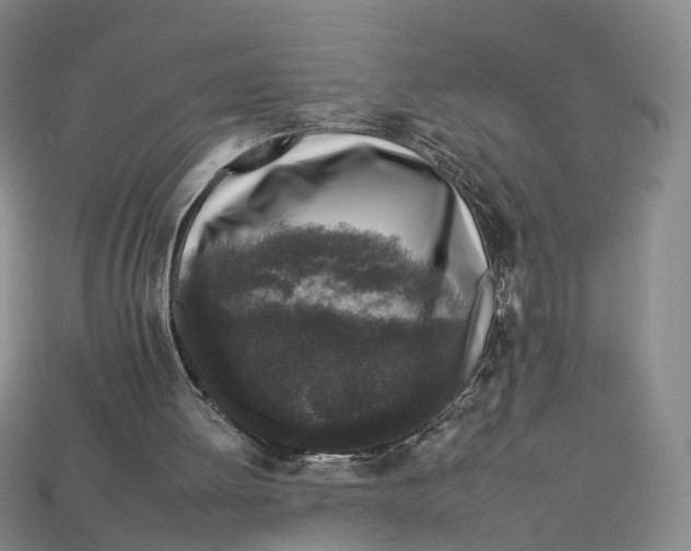 X0000112930052200909141341
