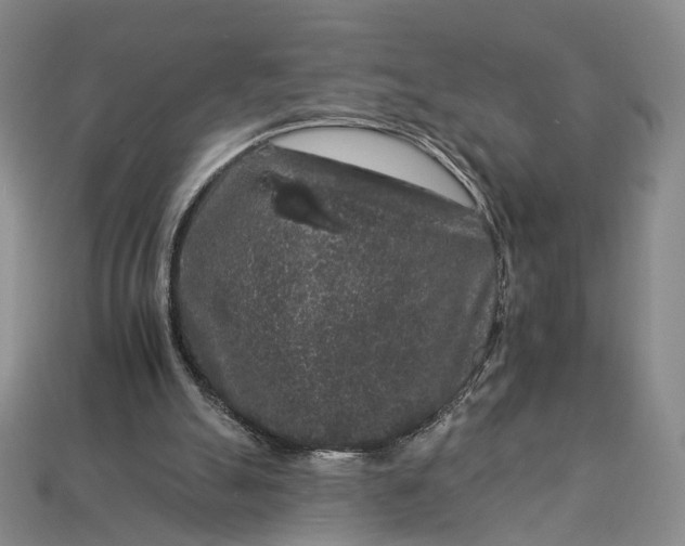X0000112930055200909141342