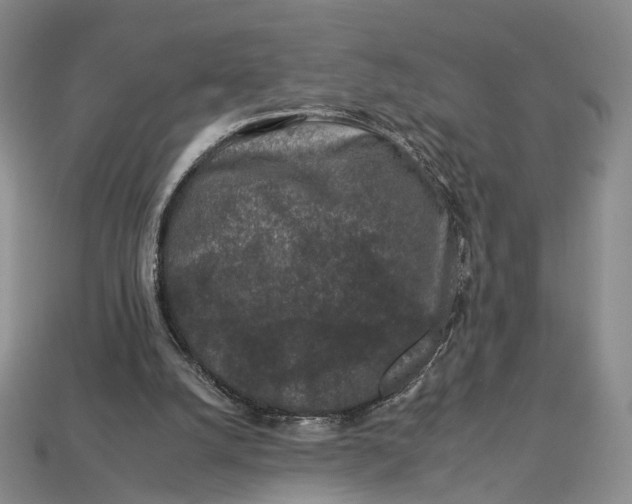 X0000112930056200909141342