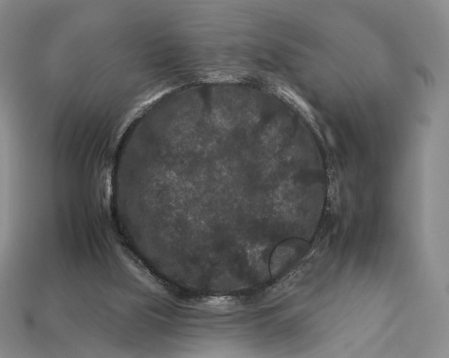 X0000112930059200909141342